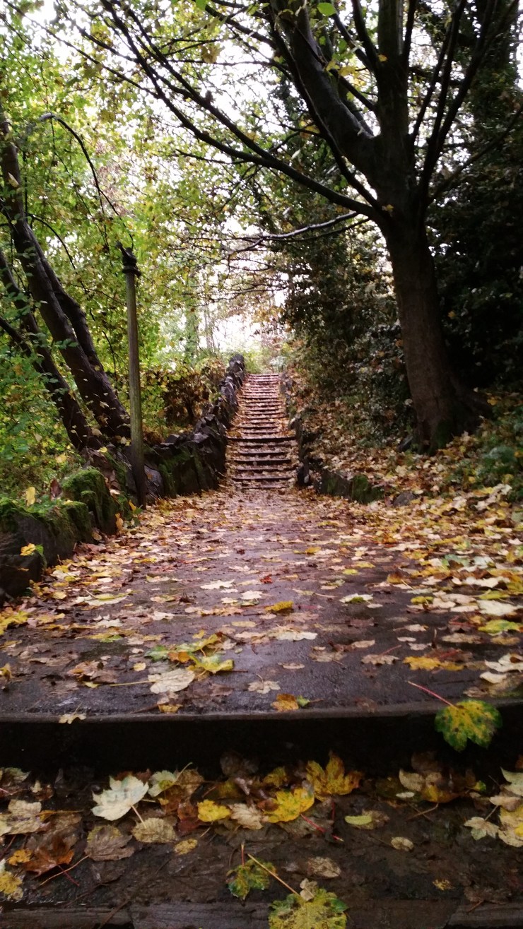 خريف شيفيلد