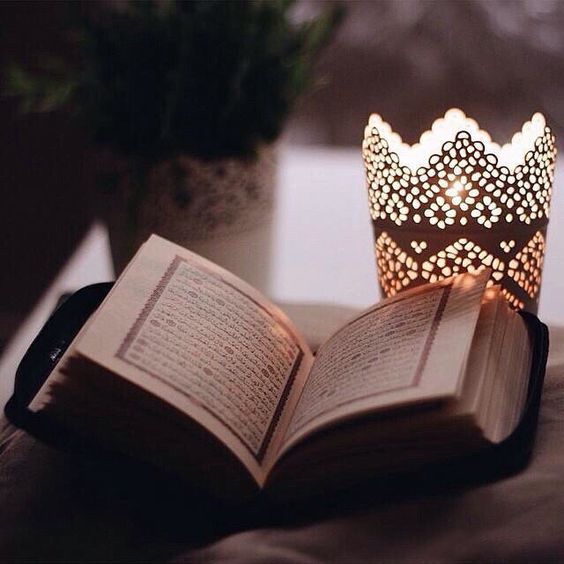 10bc9a225b05c06b2dd5daec9dbf66bc